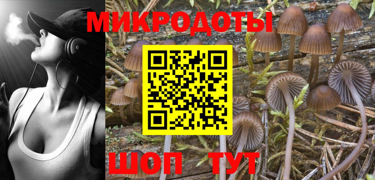 Галлюциногенные грибы прущие грибы  Псилоцибиновые грибы Psilocybe  Вход с VPN  Бахчисарай 